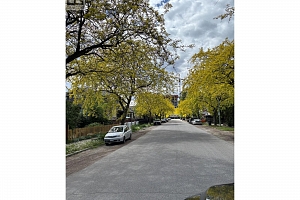 1333 Richter Street - Photo 43