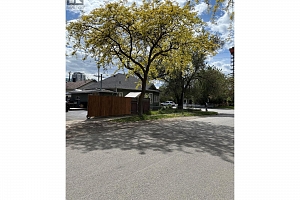 1333 Richter Street - Photo 44