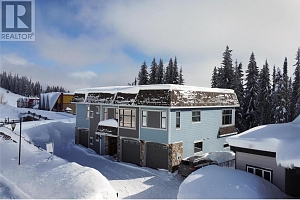 110 Arnica Lane - Photo 2