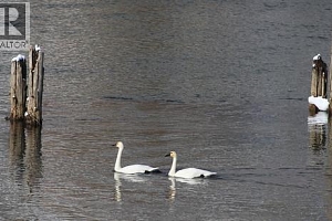 Riverside Road - Photo 12