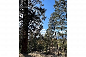 4040 Casorso Road - Photo 59