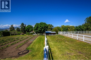 6775 L&A Road - Photo 27