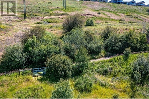 6775 L&A Road - Photo 42