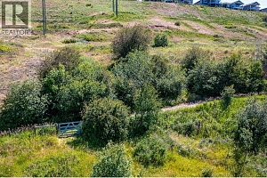 6775 L&A Road - Photo 42