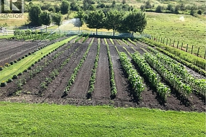 6775 L&A Road - Photo 45