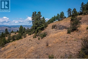 167 Ravine Drive - Photo 5