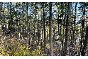 145-147 Keithley Road Lot# 145-147 - Photo 21