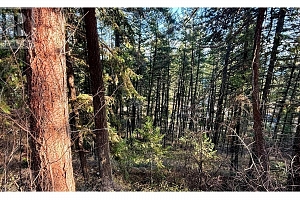 145-147 Keithley Road Lot# 145-147 - Photo 23