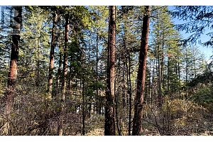 145-147 Keithley Road Lot# 145-147 - Photo 24