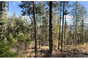 Lot 147 Keithley Road Lot# 147 - Photo 12