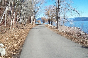 358 Mountain Drive - Photo 17