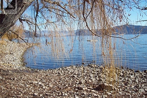 358 Mountain Drive - Photo 19