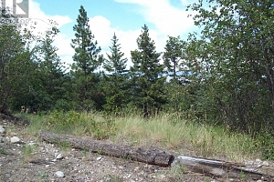 358 Mountain Drive - Photo 8