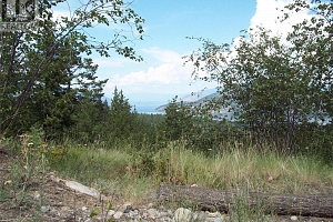 358 Mountain Drive - Photo 9