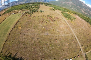Lot 63 Cochrane Road - Photo 11