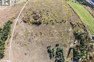 Lot 63 Cochrane Road - Photo 12