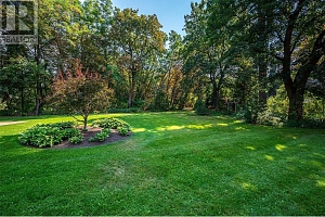 9310 Kalamalka Road - Photo 8