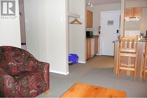 148 Silver Lode Lane Unit# 208 - Photo 5