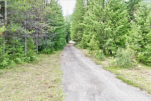 1433 Sugar Lake Road - Photo 6