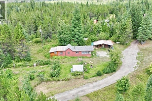 1433 Sugar Lake Road - Photo 67