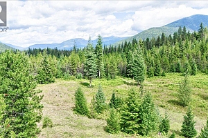 1433 Sugar Lake Road - Photo 81