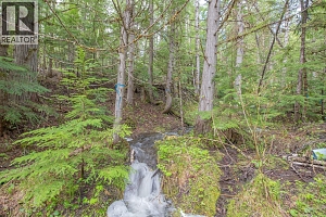 1433 Sugar Lake Road - Photo 85