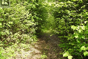 1433 Sugar Lake Road - Photo 87