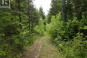 1433 Sugar Lake Road - Photo 88