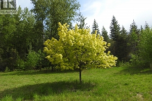 1433 Sugar Lake Road - Photo 89