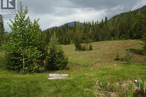 1433 Sugar Lake Road - Photo 94