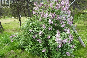 1433 Sugar Lake Road - Photo 97