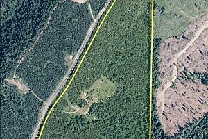 1433 Sugar Lake Road - Photo 99