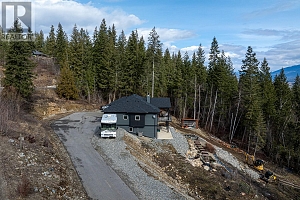 249 Twin Lakes Road - Photo 46