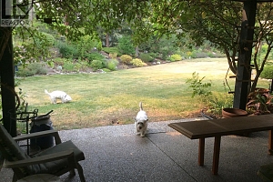 4074 Gellatly Road Unit# 126 - Photo 11