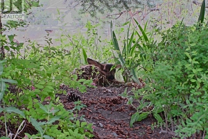4074 Gellatly Road Unit# 126 - Photo 14