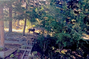 4074 Gellatly Road Unit# 126 - Photo 15