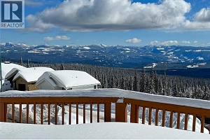 255 Feathertop Way Unit# 320 - Photo 30