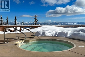 255 Feathertop Way Unit# 320 - Photo 32