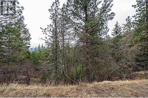 10745 Westshore Road - Photo 5