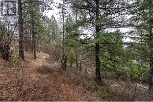 10745 Westshore Road - Photo 6