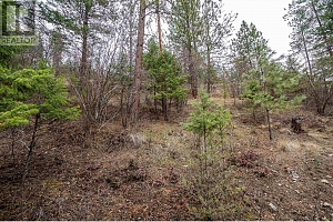 10745 Westshore Road - Photo 7