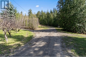 8097 Seed Road - Photo 83