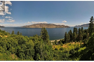 4641 Princeton Avenue - Photo 3