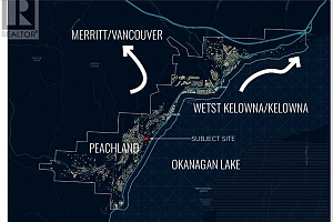 4641 Princeton Avenue - Photo 5