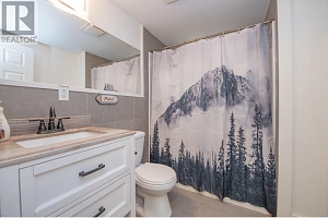 1236 Mabel Lake Road - Photo 23