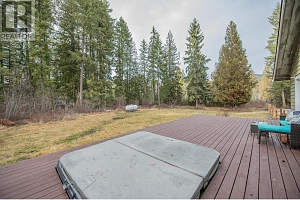 1236 Mabel Lake Road - Photo 39