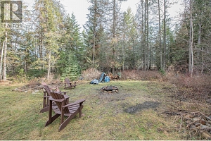 1236 Mabel Lake Road - Photo 48