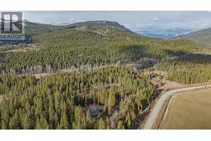 1236 Mabel Lake Road - Photo 70