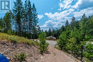 Lot 289 Westshore Road - Photo 11