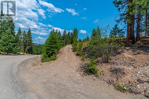 Lot 289 Westshore Road - Photo 12